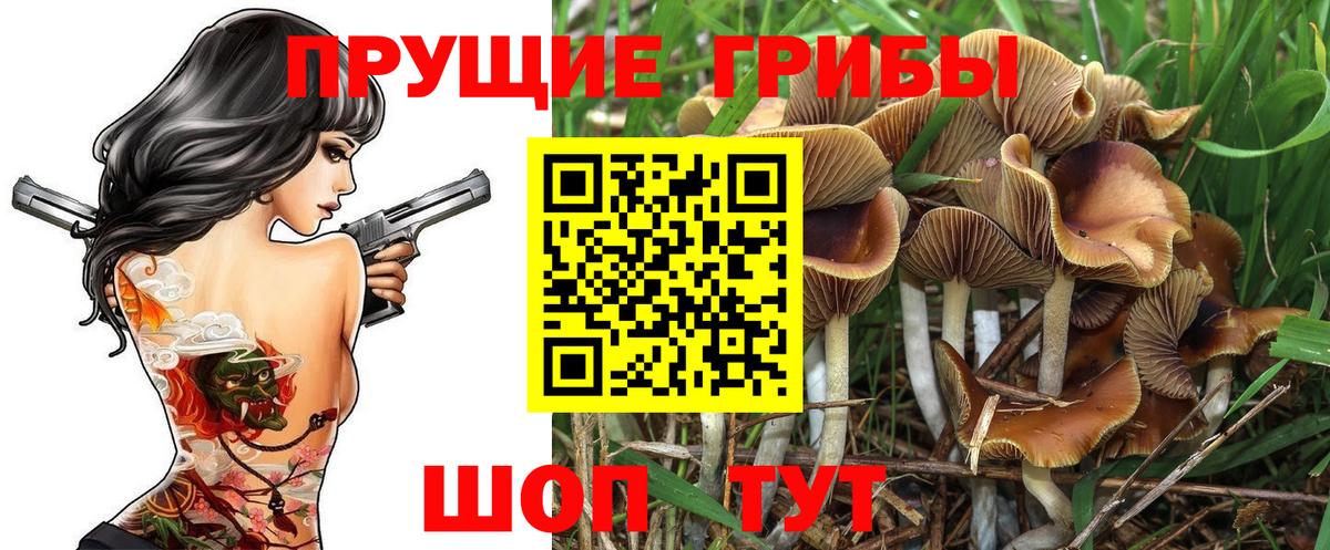 Удомля  Галлюциногенные грибы ЛСД  Псилоцибиновые грибы MAGIC MUSHROOMS  Вход с VPN 