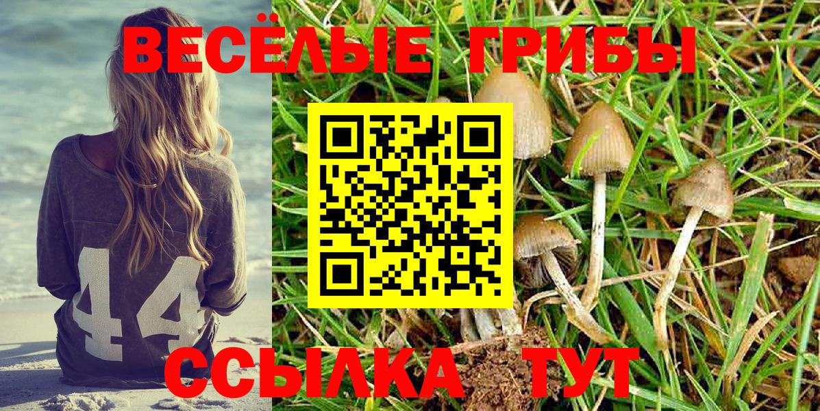 Галлюциногенные грибы мицелий Удомля
